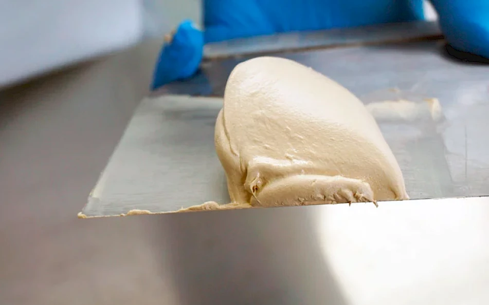 catalizador coche masilla mezcla